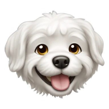 perro bichón maltes sonriendo sticker