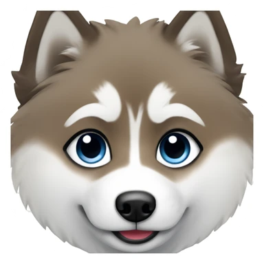 Pomsky with black & white fur. It also has two different color eyes, one blue and the other brown sticker