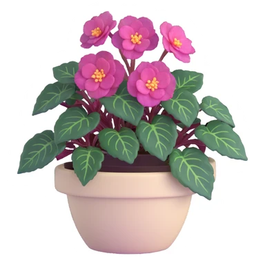 Begonia Rex with dark green leaves, purple edges, white spots in the middle, and distinct spiral centers where each leaf grows from, in a beige pot sticker