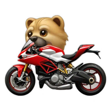 ducati motorcycles sticker