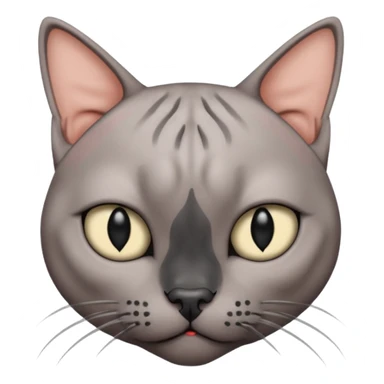 gray hairless cat with black nose looking with disgust sticker