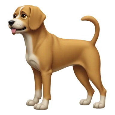 three legged dog  sticker