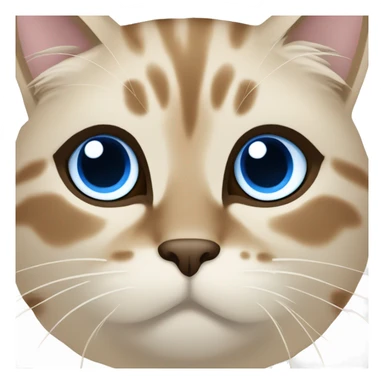 Beige birma cat Blue eyes full face and neck, darkbrown deatails sticker