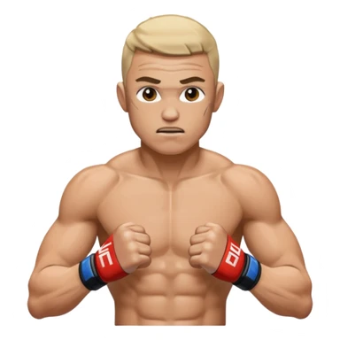 Ufc sticker