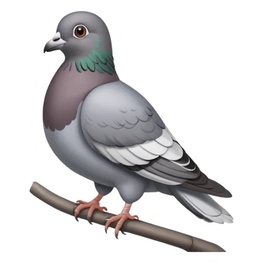 Pigeon sticker