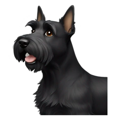Scottish terrier male sticker