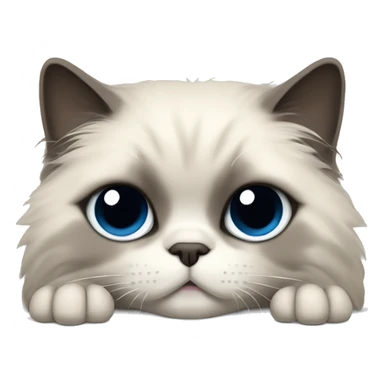 Sleeping himalayan ragdoll cat full dark face and feet sticker