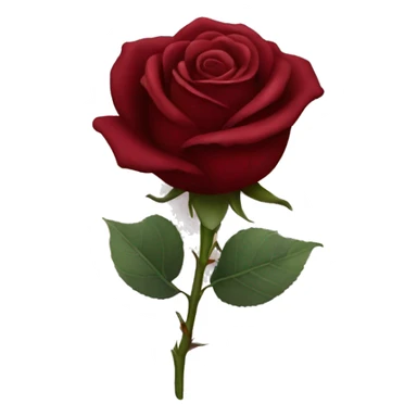 Dark red rose sticker