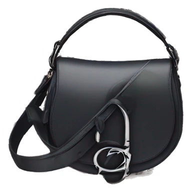 dior saddle bag with Dior print sticker