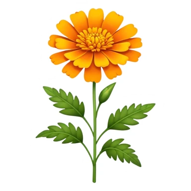 marigold  sticker
