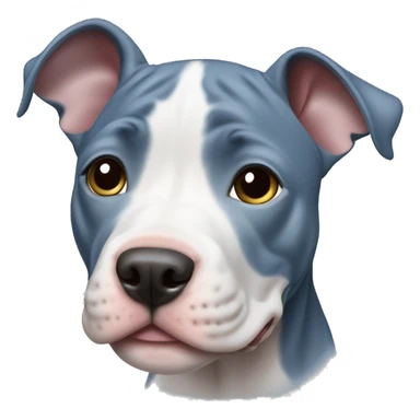 Blue nose pitbull puppy sticker