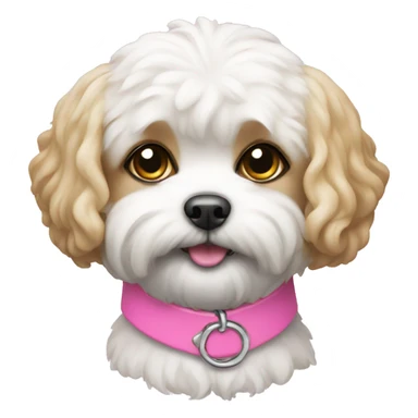 Shichon dog with pink collar  sticker