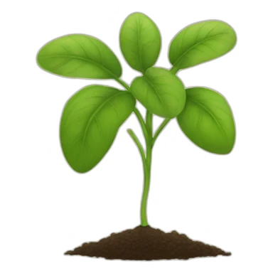 seeding emoji with super long base sticker