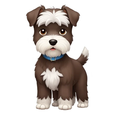 Fluffy Chocolate and white schnauzer standing sticker