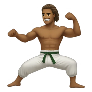 Capoeira sticker
