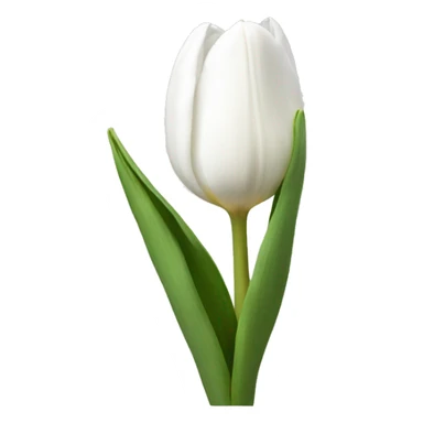 White tulip  sticker