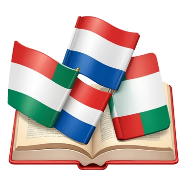 Italian to English dictionary book cover with Italian and English flags sticker