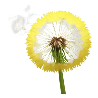 Dandelion blowing away sticker