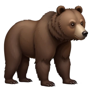 Dark brown grizzly bear on four legs with natural fur texture, minimalist design, very dark brown coloration sticker
