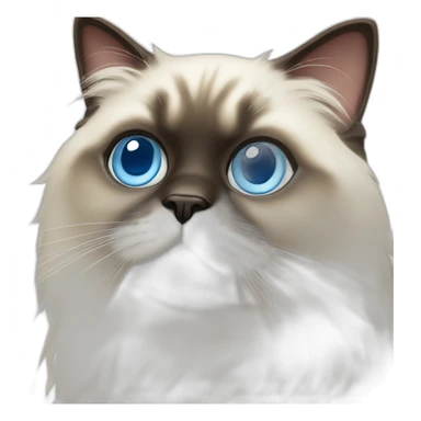 himalayan cat with blue eyes sticker