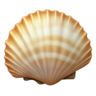 seashell summer  sticker