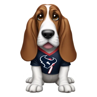 Basset-Hound wearing a Houston Texans jersey sticker