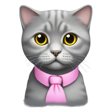gray scottish fold cat with yellow eyes wearing a pink collar sticker