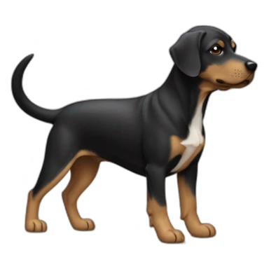 chien noir sur ses deux pattes arrière sticker