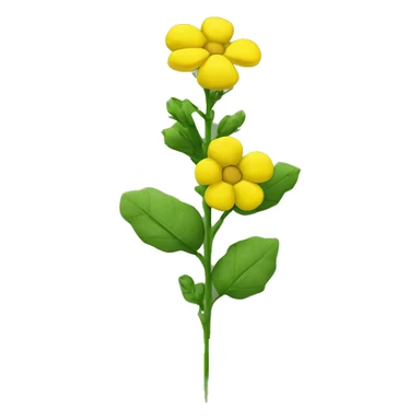 yellow rapeseed flower on a green stem sticker