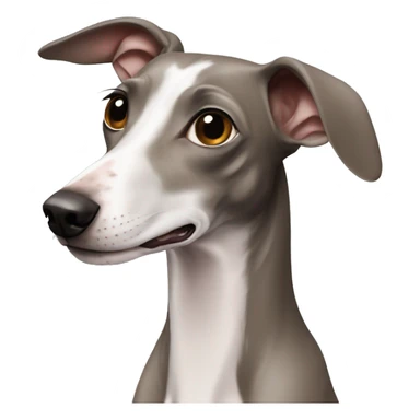 Italian greyhound sticker