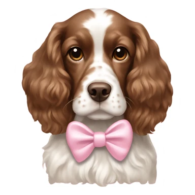 brown and white cockerspaniel with light pink bow sticker