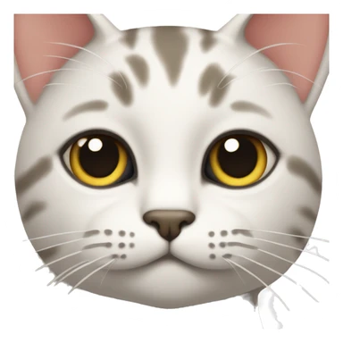 cat’s face with one brow up sticker