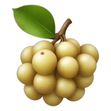 longan fruit sticker