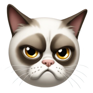 Grumpy cat scowling  sticker