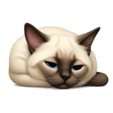 fluffy siamese cat curled up sleeping sticker