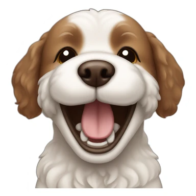 brown dog bichon laughing sticker
