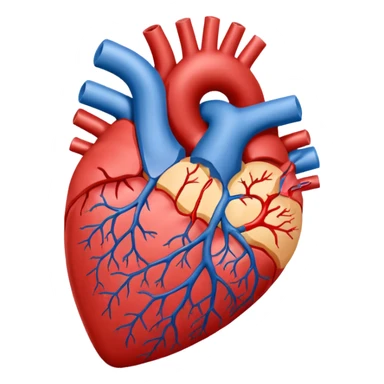 st elevated myocardial infarction sticker