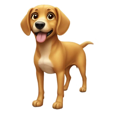 dog with sunnie sticker