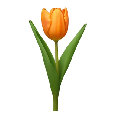 Pale orange tulip sticker