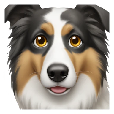 Collie with a black spot on right eye and black right ear sticker