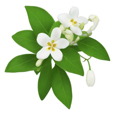 Night Jasmine flower sticker