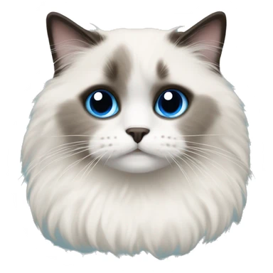 Ragdoll with blue eyes wearing a christmas sweater sticker