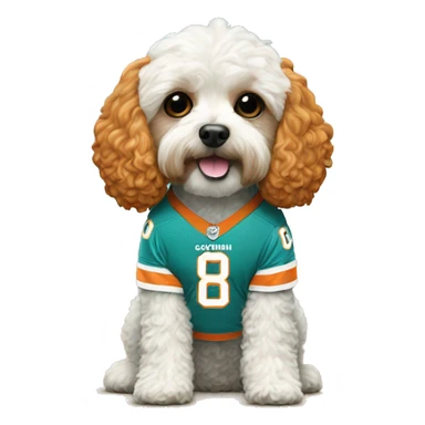 Cavapoo with a Miami Dolphins jersey sticker