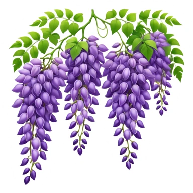 Beautiful wisteria with long cascading clusters of purple flowers hanging like grapes, with delicate green pinnate leaves sticker