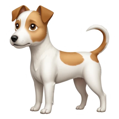 a full body white parson russell looking dog the size of a kelpie with light brown ears and a light brown patch on one eye and a large snout sticker