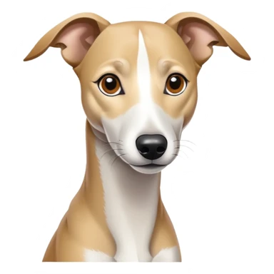 Tan and white whippet sticker
