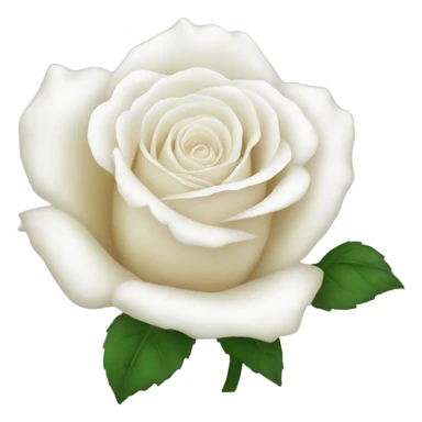 White rose sticker