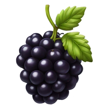 black berry  sticker