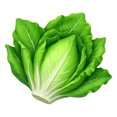 lettuce one  leaf  sticker