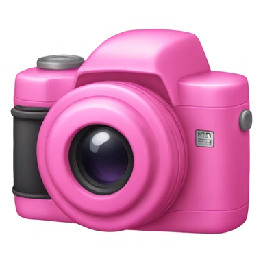 Pink camera sticker